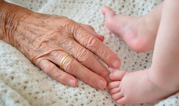 米寿のお祝いに絶対おすすめしたい食べ物とは？